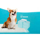 50 Sabanillas para Perros 45x60 cm 5 capa
