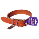 Collar Para Perro Ajustable Con Hebilla Metalica