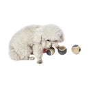 Set 6 pelotas tenis para perro