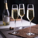 Copa de Champagne Tritan 245 ml