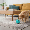 Pelota rellenable para perro