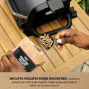 Parrilla con Ahumador Electrica 2400 W Negro OG701EU