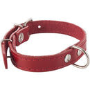 Collar Para Perro Suela 40X2 Cm Accesorio Mascotas