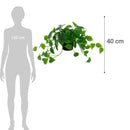 Planta Artificial Pothus 40 Cm Verde