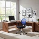 Silla Escritorio Ejecutiva Malla Negro/Azul