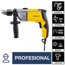 Taladro Percutor Electrico 13 mm 800 W 220 V