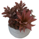Planta Artificial Suculenta 19 cm Gris/Rojo