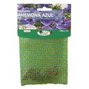 Bulbo anemona 10 unidades azul