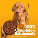 Alimento Humedo Para Perro Adulto Carne 0.1 Kg