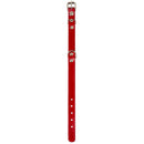 Collar Para Perro Suela 40X2 Cm Accesorio Mascotas