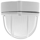 Tortuga de muro exterior 60 W blanco