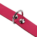Collar Para Perro Suela 50X2. 5 Cm Mascotas