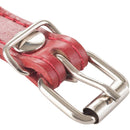 Collar Para Perro Suela 40X2 Cm Accesorio Mascotas