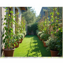 Set 5 tutores de bambu 120 cm