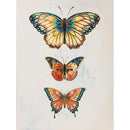 Cuadro Mariposa 60X80 Cm