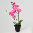 Planta Artificial Orquidea 48 cm Rosa