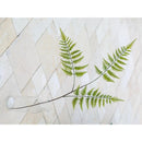 Vara Artificial Helecho 86 Cm Verde