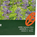 Semilla de salvia para infusion 1 gr Sachet