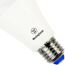 Ampolleta Led 15 W E27 1500 Lm Luz Calida