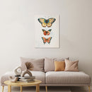 Cuadro Mariposa 60X80 Cm