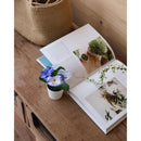 Set 3 Plantas Artificiales Mix de Flores 16 cm Colores Surtidos