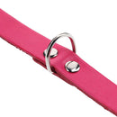 Collar Para Perro 40X2 Cm Accesorio Mascota