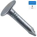 Clavo para teja asfaltica 3/4" 1 kg