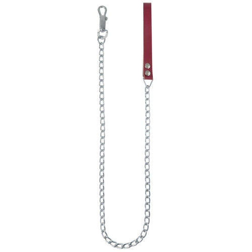 Correa Resistente Para Perro Paseo Seguro 122 Cm