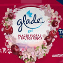 Aromatizante Mini Gel Placer Floral 0.07 Kg