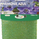 Bulbo anemona 10 unidades azul