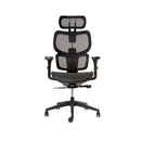 Silla Ejecutiva Ergonomica Ergoplus Negro