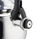 Tetera 2.8 l Acero Inoxidable Plateado
