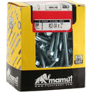 Tornillo Autop Hex 12X2 100Un