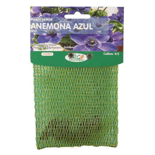 Bulbo anemona 10 unidades azul