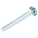 Tornillo Roscalata Metal 1-1/4 6 mm 100 unidad(es)