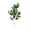Vara Avellano Seda Artificial 65 Cm Verde