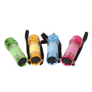 Linterna Colores Fluorescente