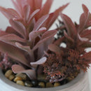 Planta Artificial Suculenta 19 cm Gris/Rojo