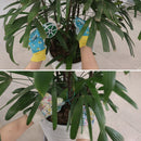 Guantes de Jardin Disenos de Poliester Talla unica Disenos Surtidos