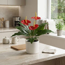 Planta Artificial Flores 30 Cm Rojo
