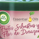 Aromatizador Gel Frutos Silvestres 0.07 Kg