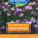 Semilla de flor alegria del hogar 0.5 gr Sachet