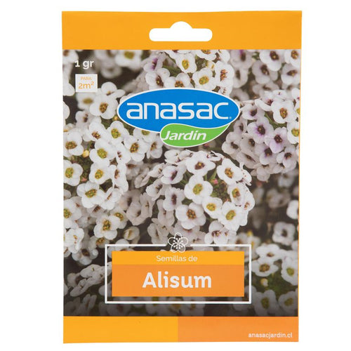 Semilla de flor alisum 1 gr Sachet