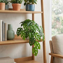 Planta Artificial Monstera 42 Cm Verde