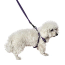Set Arnes Correa Talla M Para Perro Mediano