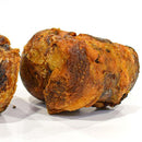 Hueso Natural N2 para Perro Todas las edades Ahumado 3.21 kg