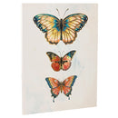 Cuadro Mariposa 60X80 Cm
