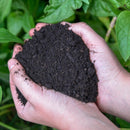 Tierra para macetero 6 litros bolsa