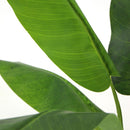 Planta Artificial Banano 90 cm Verde