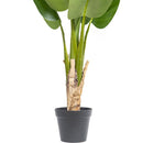 Planta Artificial Banano 90 cm Verde